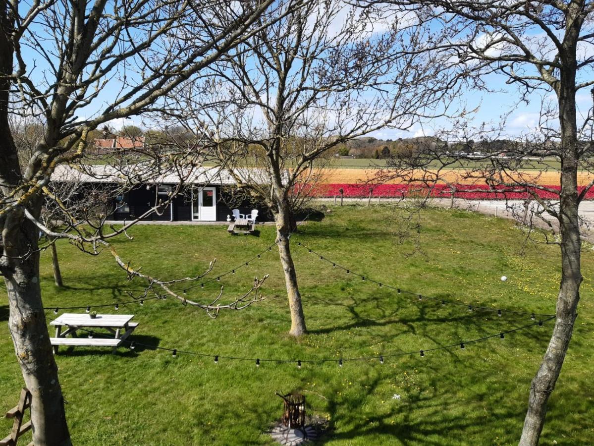 Chalet Egmond Egmond aan den Hoef Exterior foto