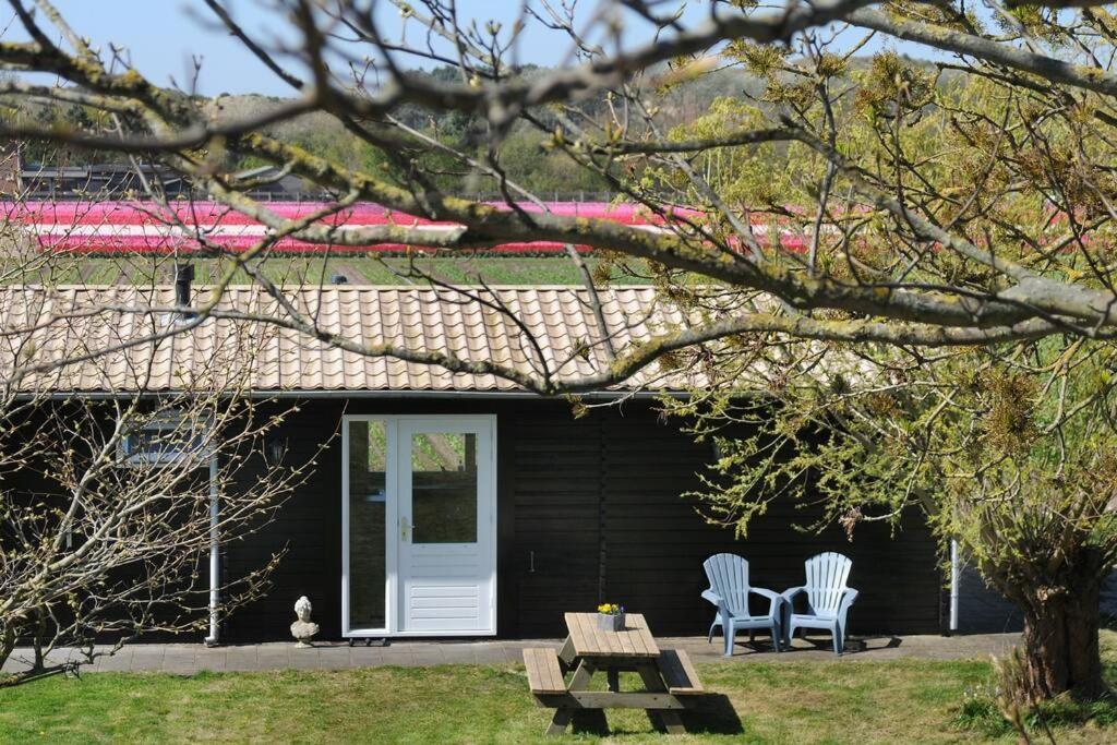 Chalet Egmond Egmond aan den Hoef Exterior foto