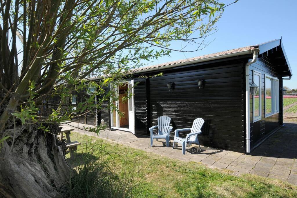 Chalet Egmond Egmond aan den Hoef Exterior foto